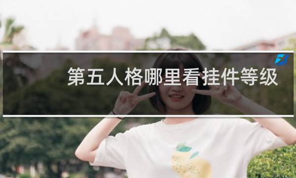 第五人格哪里看挂件等级