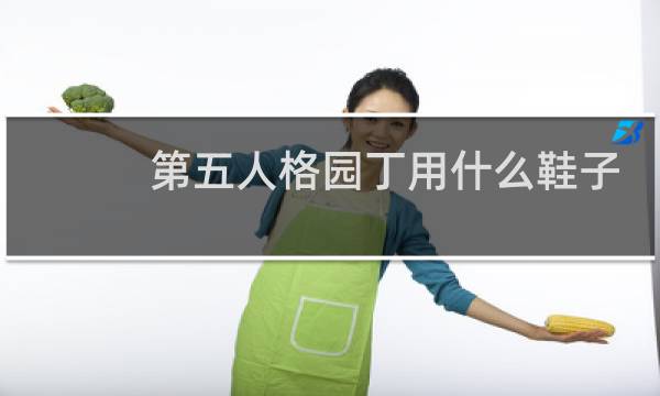 第五人格园丁用什么鞋子