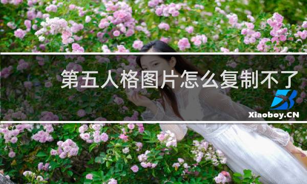 第五人格图片怎么复制不了