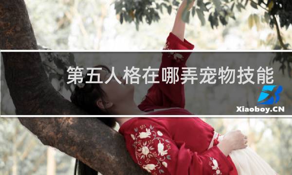 第五人格在哪弄宠物技能