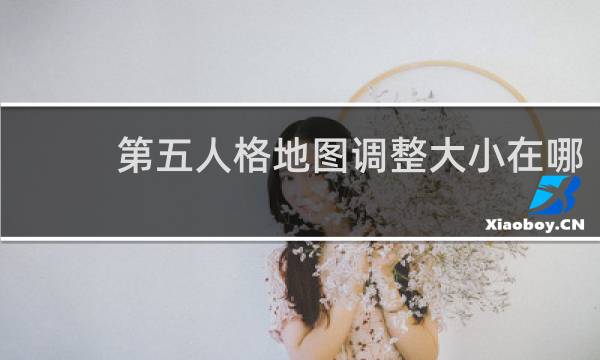 第五人格地图调整大小在哪