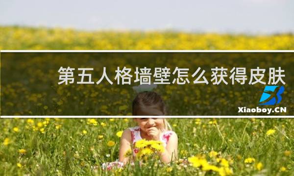 第五人格墙壁怎么获得皮肤