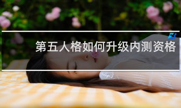 第五人格如何升级内测资格