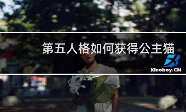 第五人格如何获得公主猫