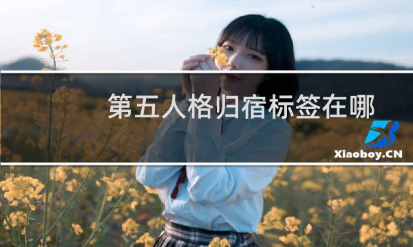 第五人格归宿标签在哪