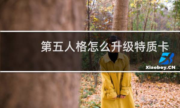 第五人格怎么升级特质卡