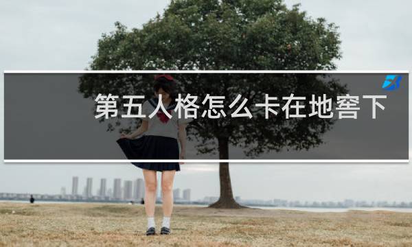 第五人格怎么卡在地窖下