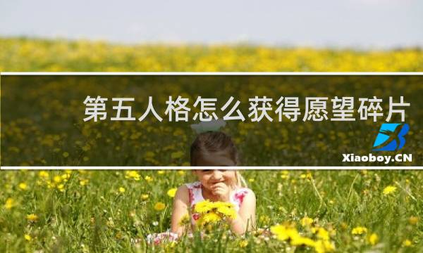 第五人格怎么获得愿望碎片