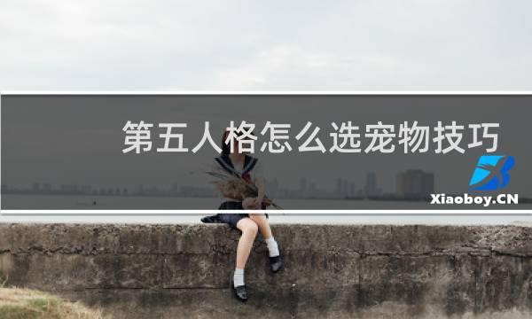 第五人格怎么选宠物技巧
