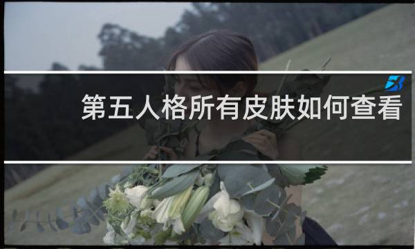 第五人格所有皮肤如何查看
