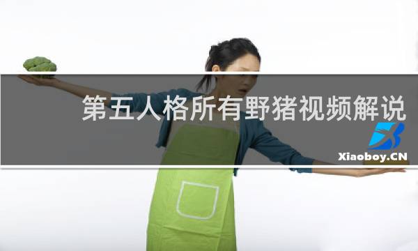 第五人格所有野猪视频解说