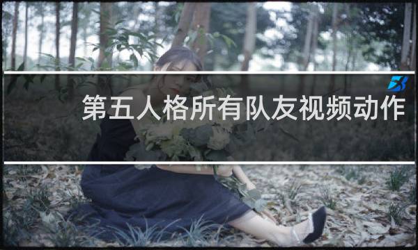 第五人格所有队友视频动作
