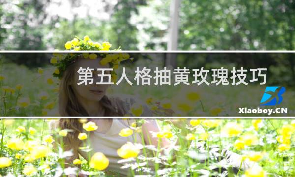 第五人格抽黄玫瑰技巧