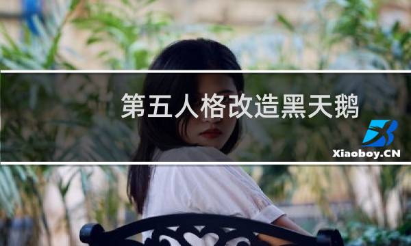 第五人格改造黑天鹅
