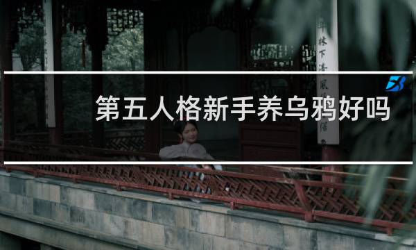 第五人格新手养乌鸦好吗