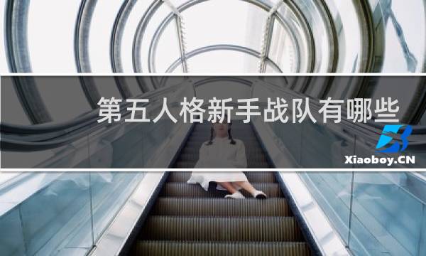 第五人格新手战队有哪些