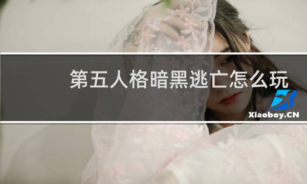 第五人格暗黑逃亡怎么玩