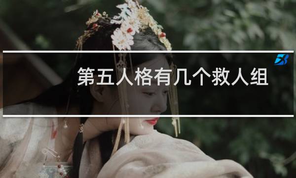 第五人格有几个救人组