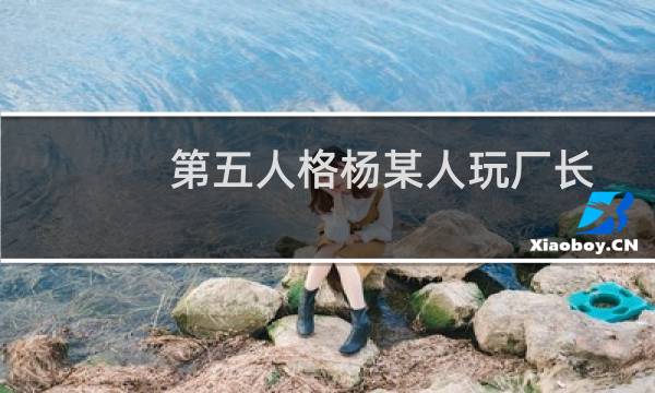 第五人格杨某人玩厂长