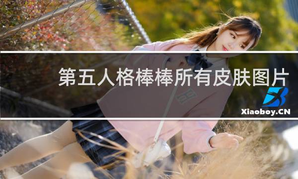 第五人格棒棒所有皮肤图片