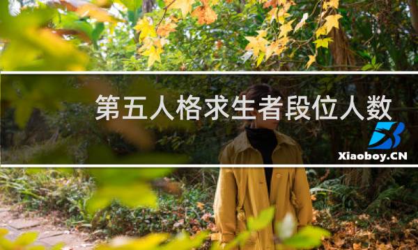 第五人格求生者段位人数