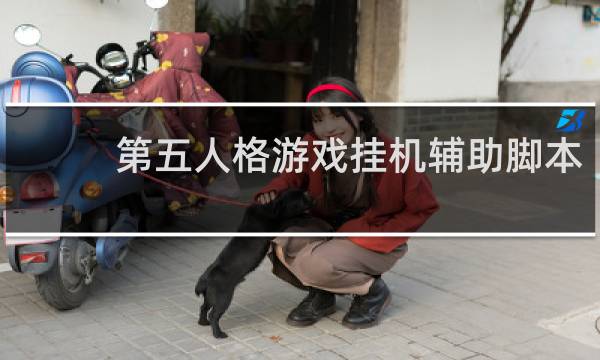 第五人格游戏挂机辅助脚本