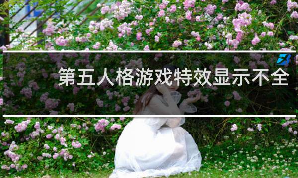 第五人格游戏特效显示不全
