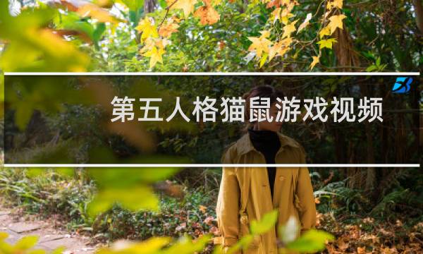 第五人格猫鼠游戏视频