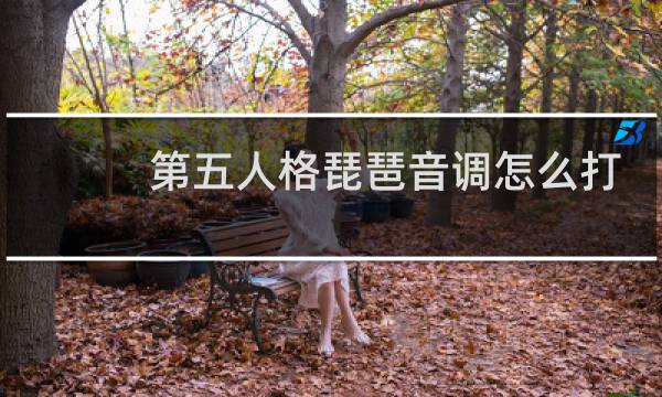 第五人格琵琶音调怎么打