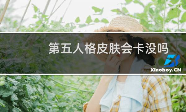 第五人格皮肤会卡没吗