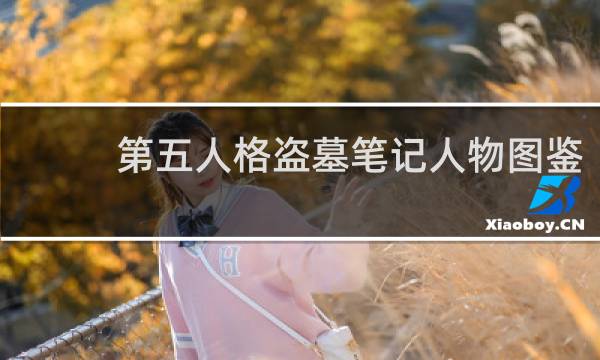 第五人格盗墓笔记人物图鉴