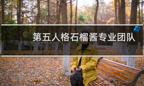 第五人格石榴酱专业团队