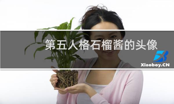 第五人格石榴酱的头像