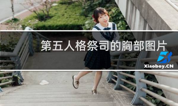第五人格祭司的胸部图片