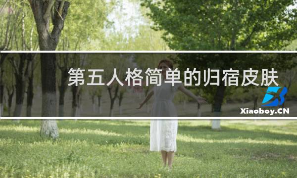 第五人格简单的归宿皮肤