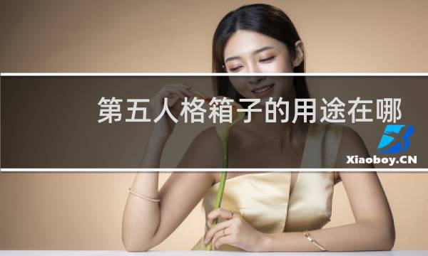 第五人格箱子的用途在哪