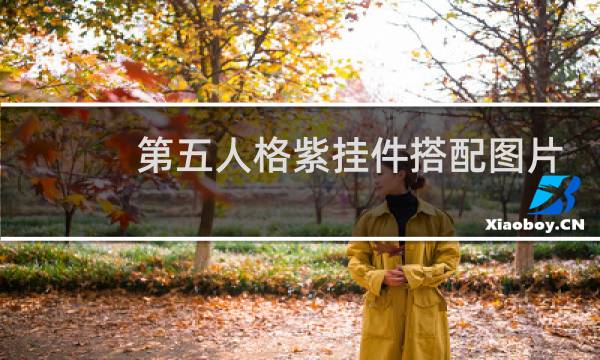 第五人格紫挂件搭配图片