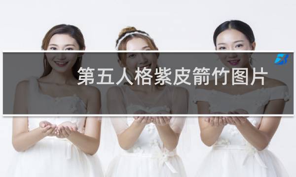 第五人格紫皮箭竹图片