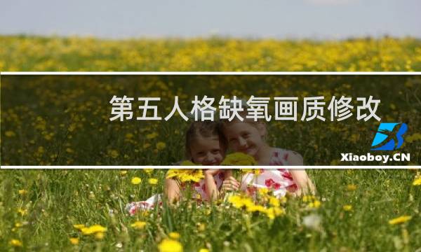 第五人格缺氧画质修改