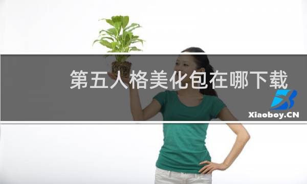 第五人格美化包在哪下载