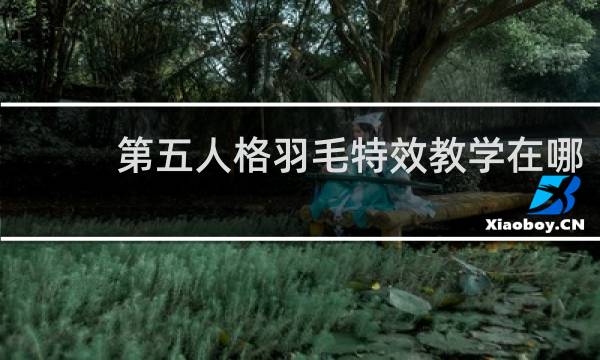 第五人格羽毛特效教学在哪