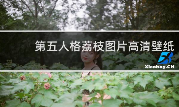 第五人格荔枝图片高清壁纸