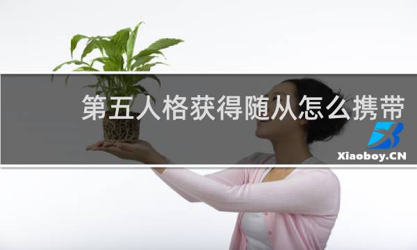 第五人格获得随从怎么携带