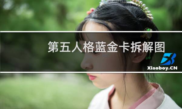 第五人格蓝金卡拆解图
