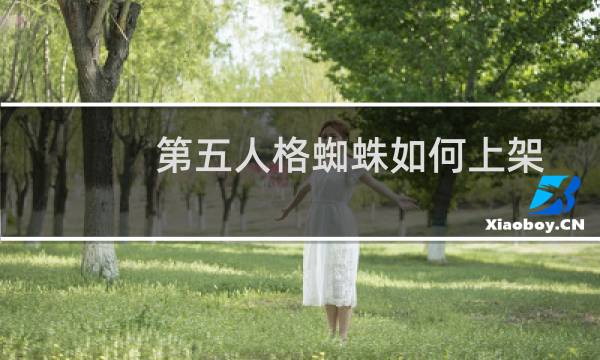 第五人格蜘蛛如何上架