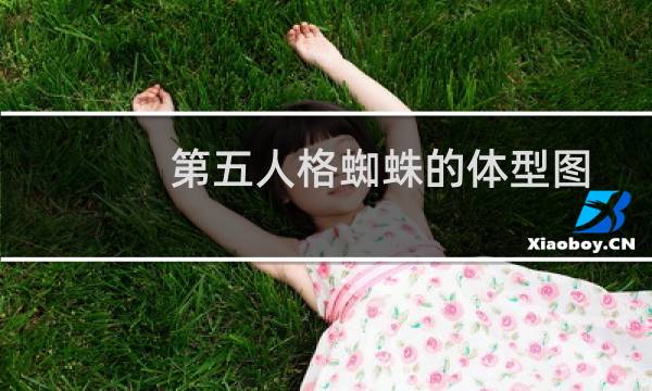 第五人格蜘蛛的体型图