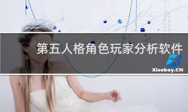 第五人格角色玩家分析软件