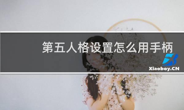 第五人格设置怎么用手柄