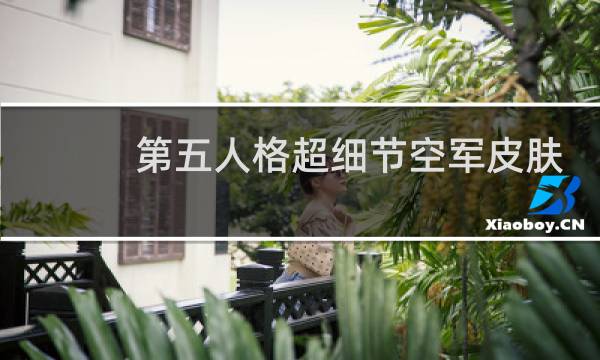 第五人格超细节空军皮肤