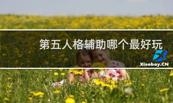 第五人格辅助哪个最好玩